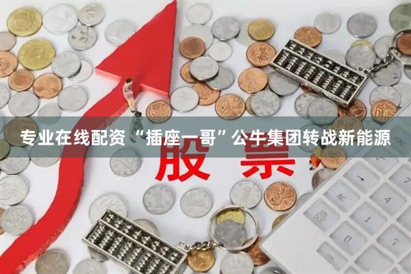 专业在线配资 “插座一哥”公牛集团转战新能源