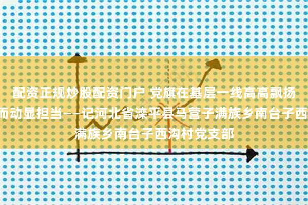 配资正规炒股配资门户 党旗在基层一线高高飘扬｜闻“汛”而动显担当——记河北省滦平县马营子满族乡南台子西沟村党支部