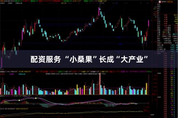 配资服务 “小桑果”长成“大产业”